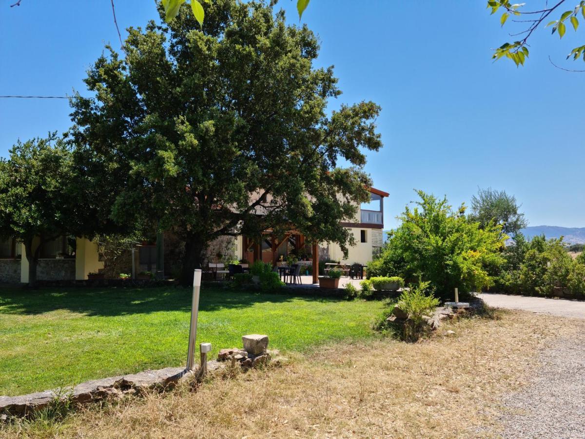 Agriturismo Sa Pigalva Tula Ngoại thất bức ảnh