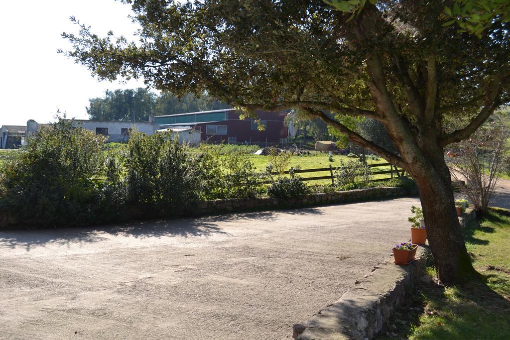 Agriturismo Sa Pigalva Tula Ngoại thất bức ảnh
