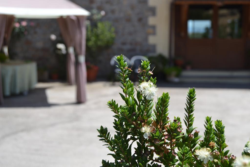 Agriturismo Sa Pigalva Tula Ngoại thất bức ảnh